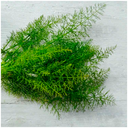 Fennel Natural Flavour Oilsoluble